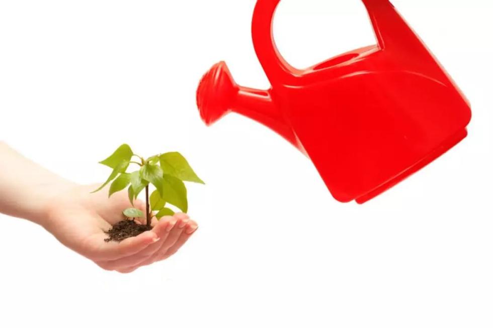 人民日报:让干部想为会为敢为